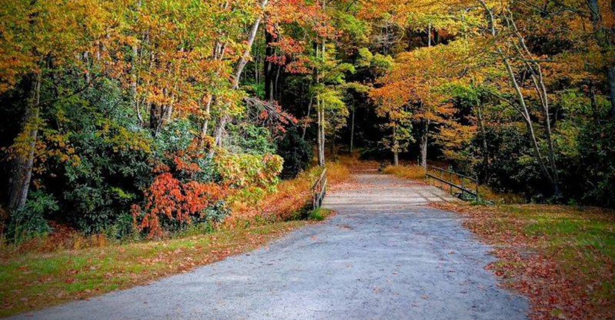 A simple 1 mile hike in North Carolina with views you wont forget