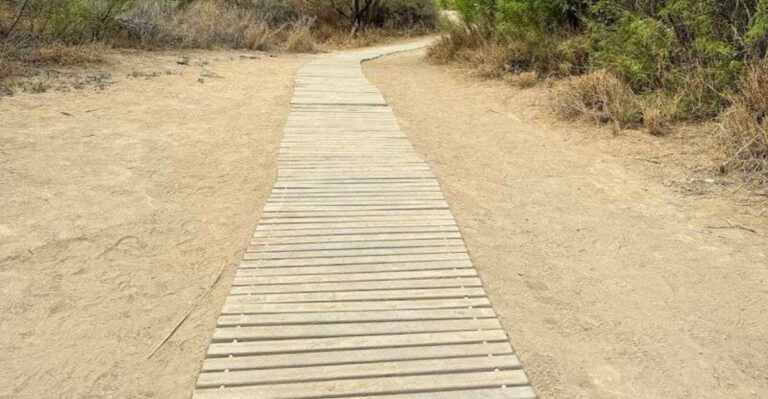 A simple 1.5-mile hike in Texas with views you won’t forget
