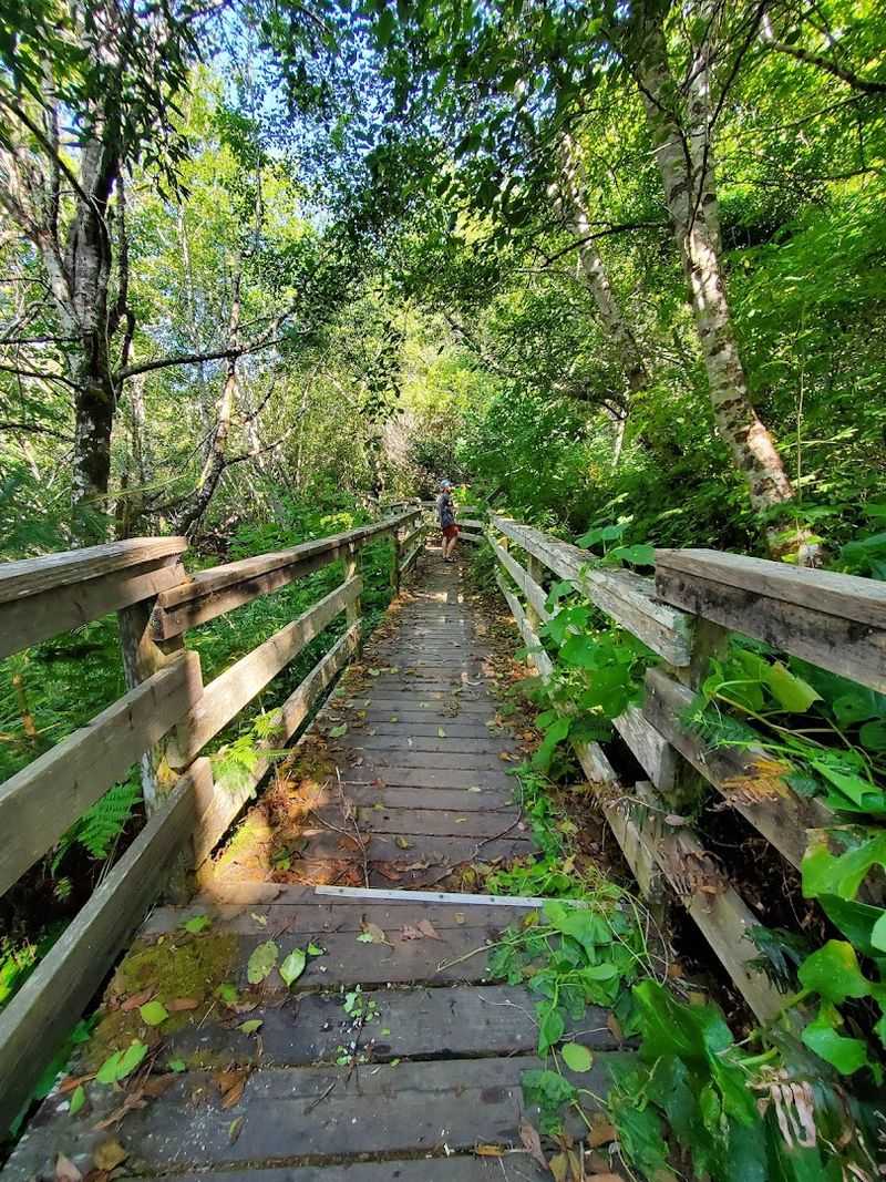 A small California state park that's simply too beautiful to keep secret 2 The Ecological Staircase Trail: Nature's Most Surprising Walk