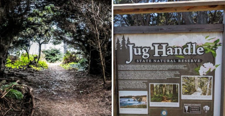 A small California state park that’s simply too beautiful to keep secret