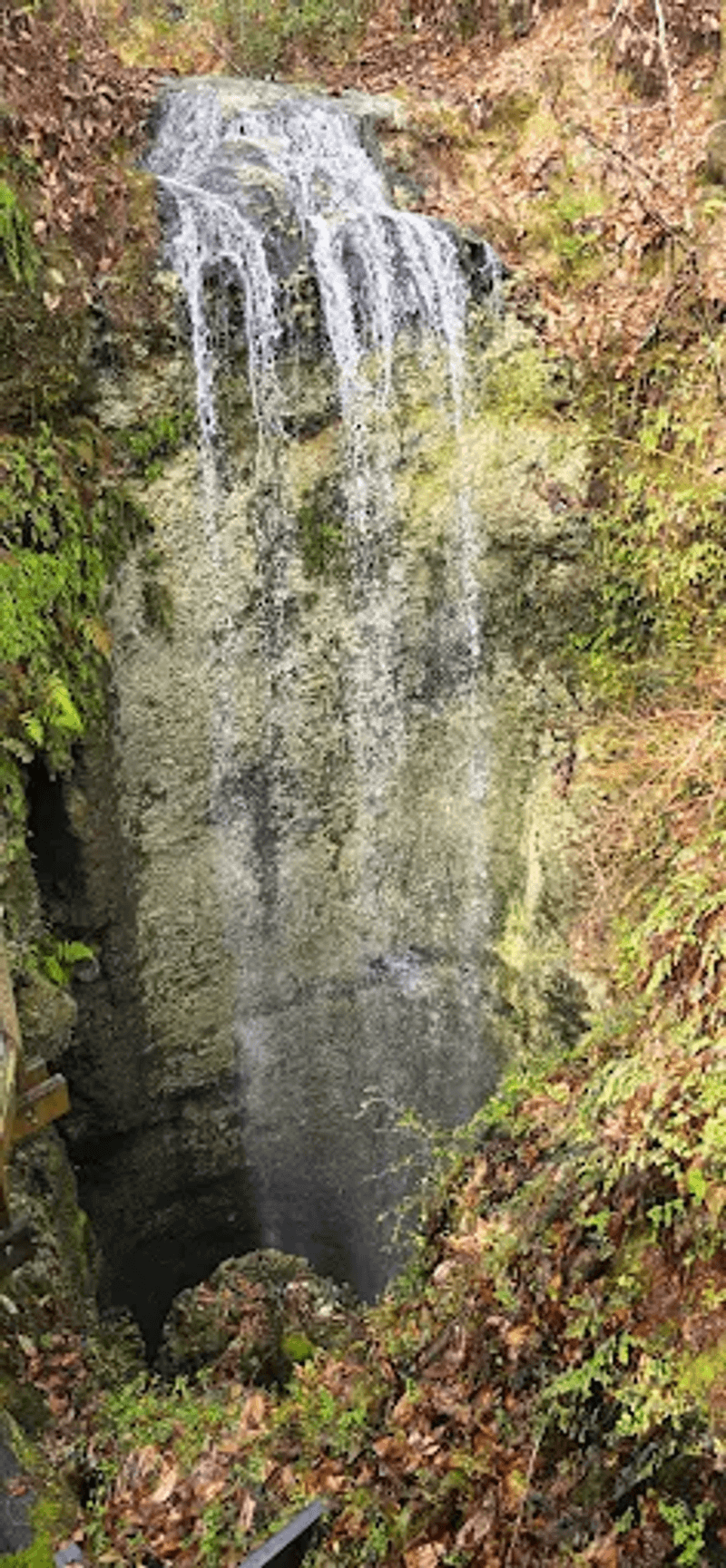 Florida's Tallest Waterfall at 73 Feet