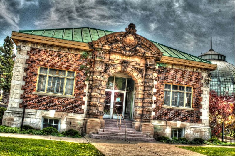 The Belle Isle Aquarium: A Free Underwater World