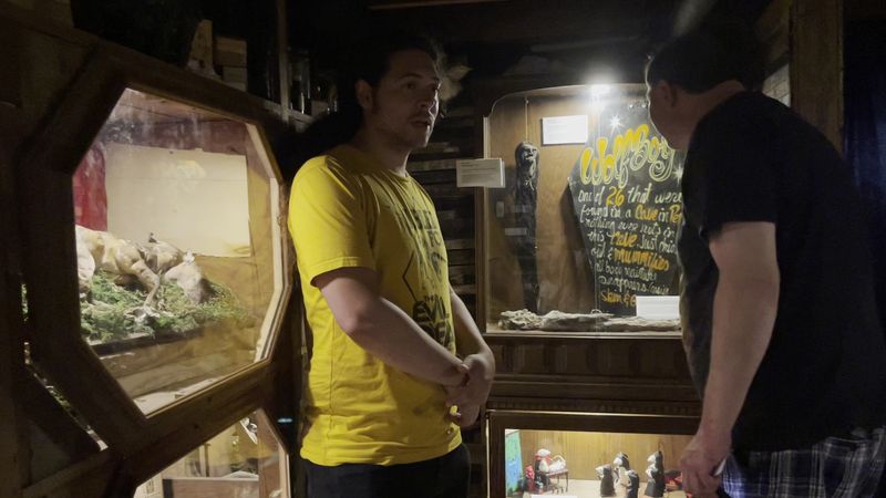 Guided sections that add context without feeling gimmicky