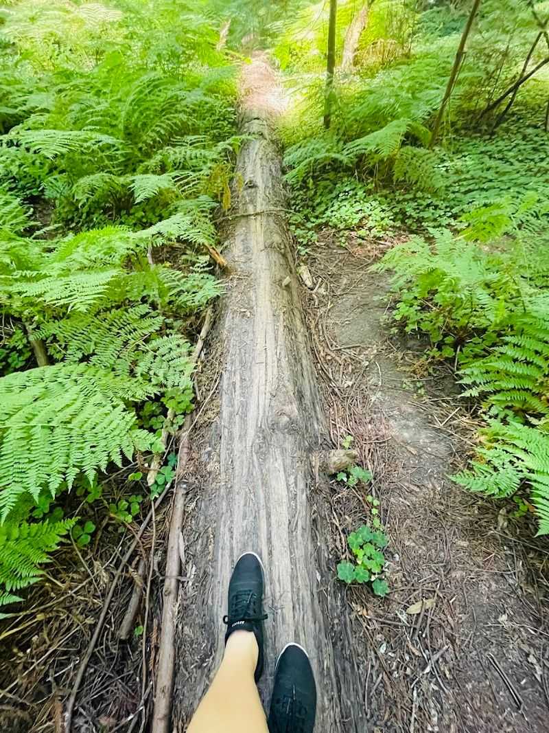 Rainy Season Mud and What to Wear on Your Feet