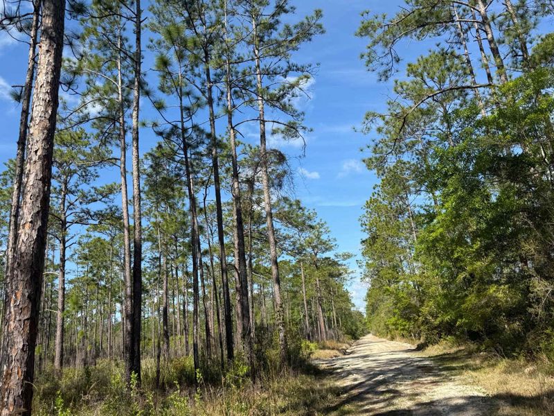 Outdoor Recreation That Costs Little to Nothing