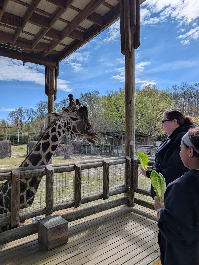 Educational Animal Talks That Change the Way You See Wildlife