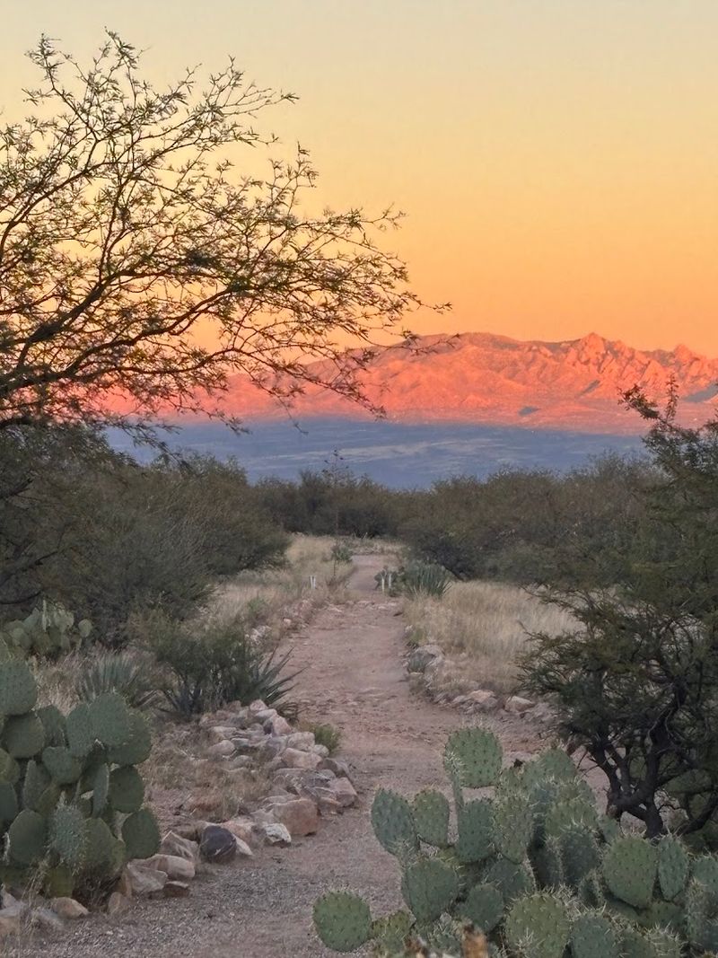 This little-known Arizona park is far off the beaten path 12 What to Wear and Bring for the Perfect Visit
