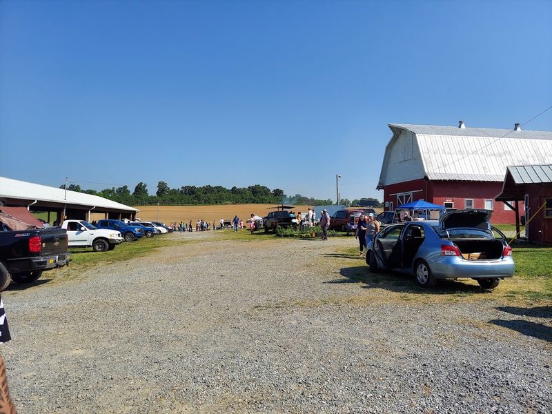 Why Regulars Keep Coming Back Every Single Sunday