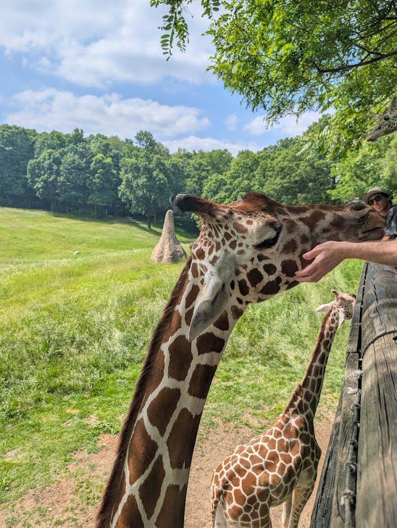Adult Events Like Kegs and Corks