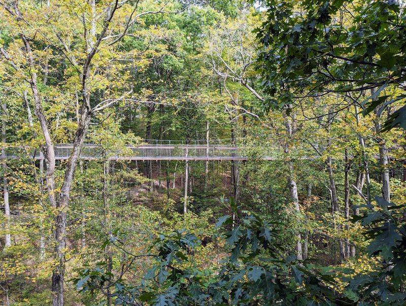 Tips for Beating the Crowds