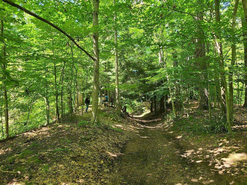 Affordable Admission and Membership Options