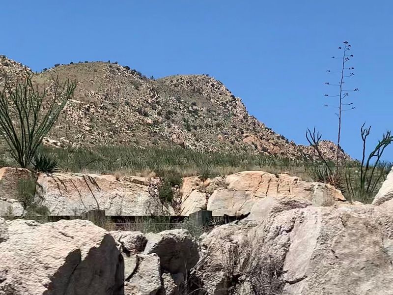 Gateway to the Legendary Tombstone and Wine Country