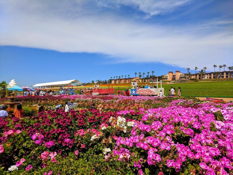 The Historic 125-Year-Old Working Farm Behind the Beauty