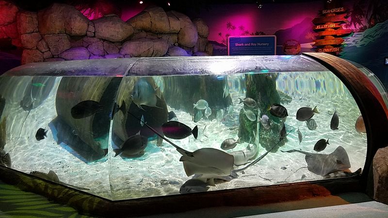 Consider the Behind the Scenes Tour