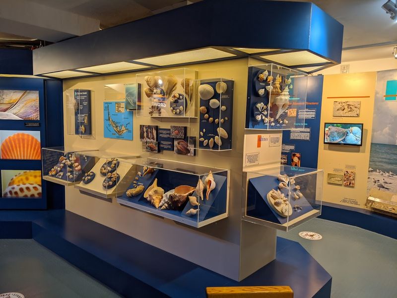 The Gift Shop: Where the Fun Continues After the Tour