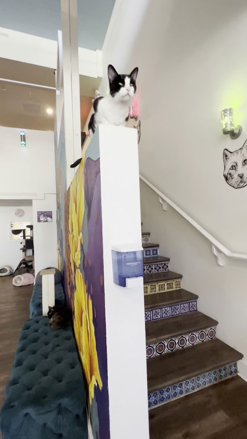 A Clean and Well-Maintained Environment