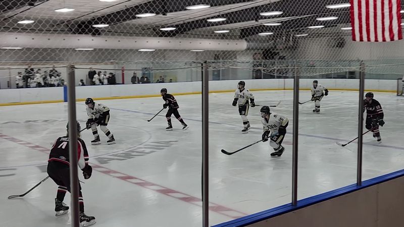 Adult Hockey Leagues and Drop-In Games