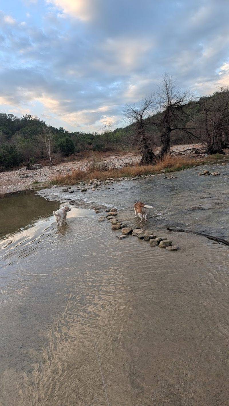 Wildlife and Nature Encounters