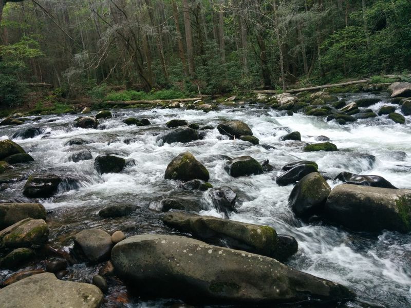 Tellico River — A Natural Treasure for Outdoor Lovers