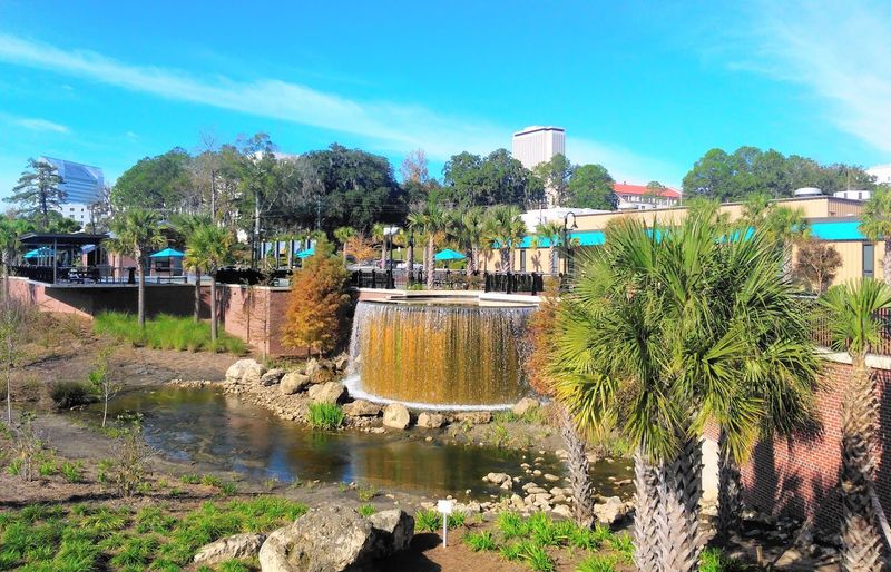 Cost of Groceries and Everyday Essentials