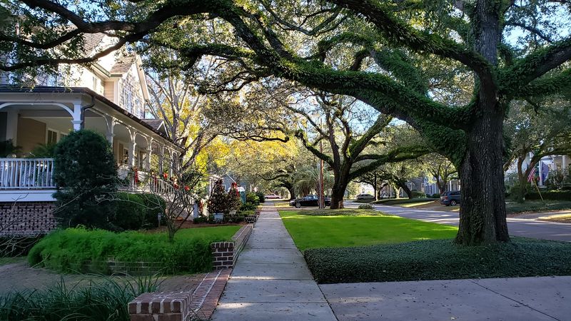 Affordable Housing Options in Georgetown