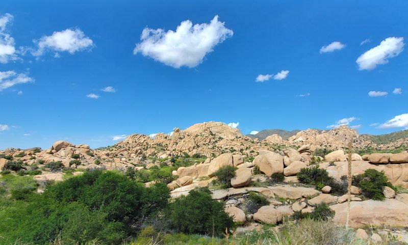 San Pedro River Valley — Nature at Its Most Serene