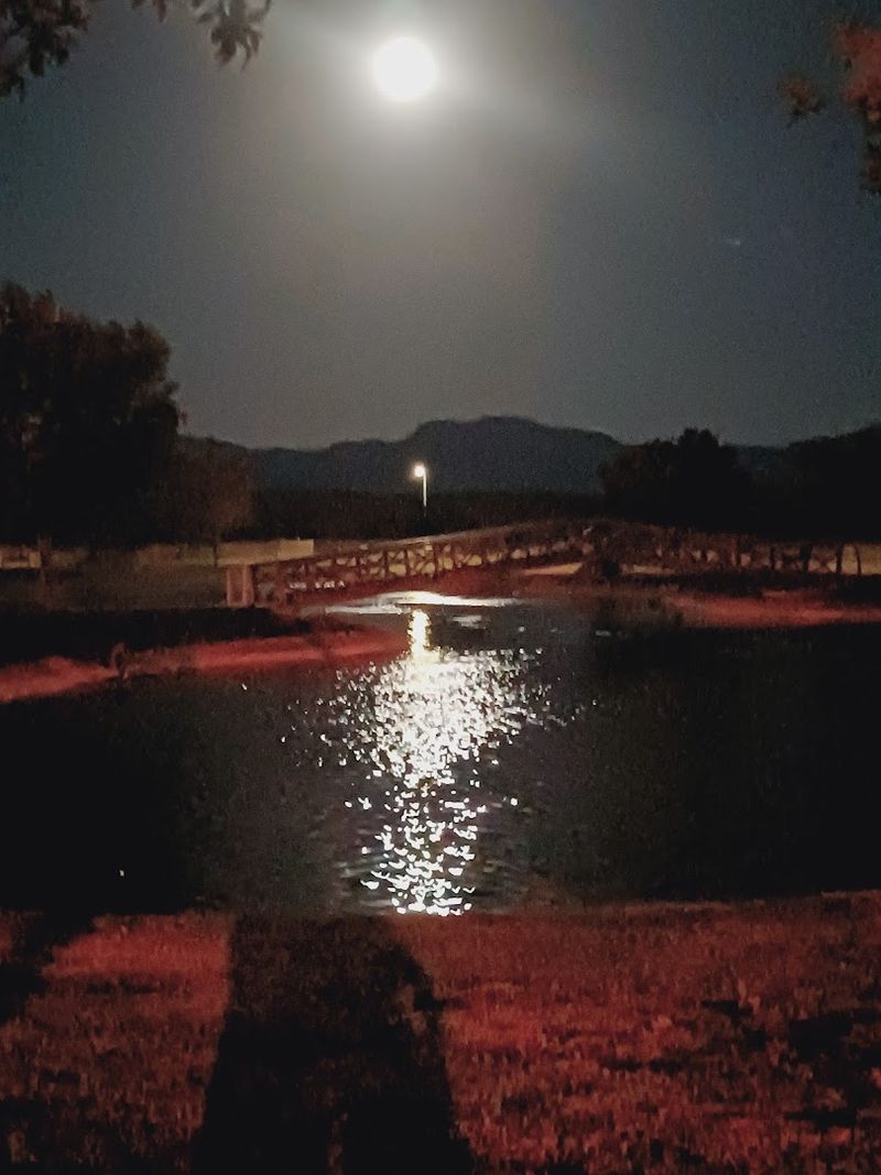 Dining Scenes That Surprise First-Time Visitors