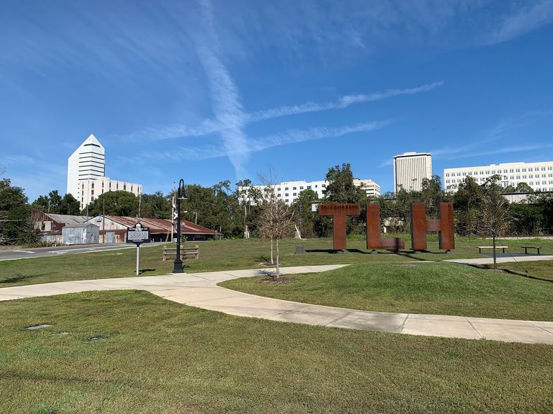 Grocery Shopping on a Lean Budget