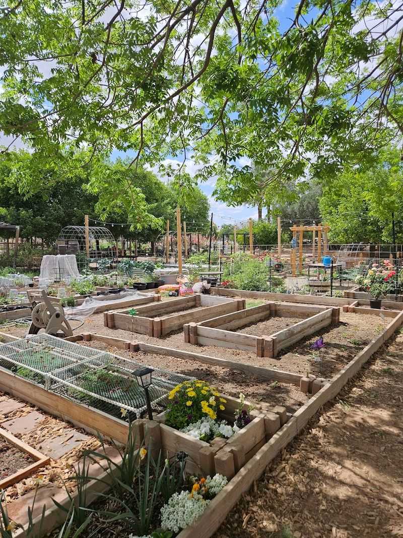 Agritopia Farm - Gilbert, Arizona