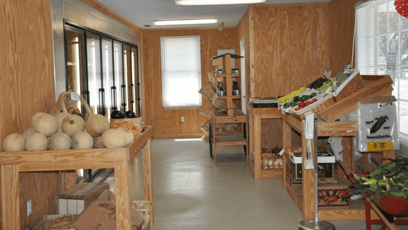 Breland Hill Farm - Walterboro, South Carolina