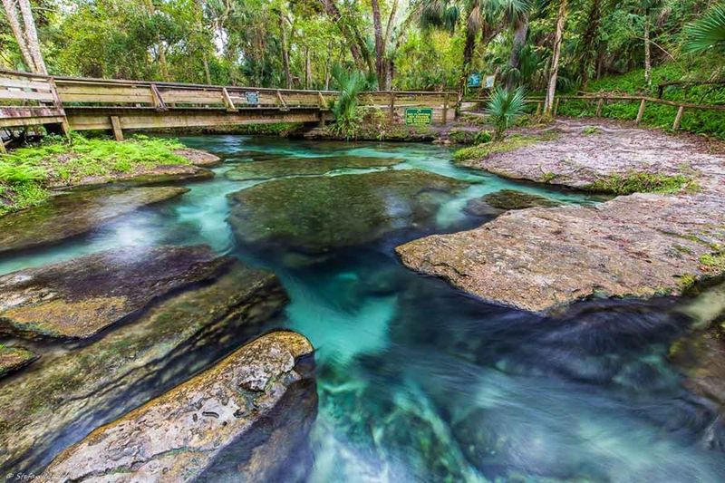Florida’s Clearest Springs That Feel Quietly Unreal in Person 13 Rock Springs Run - Florida
