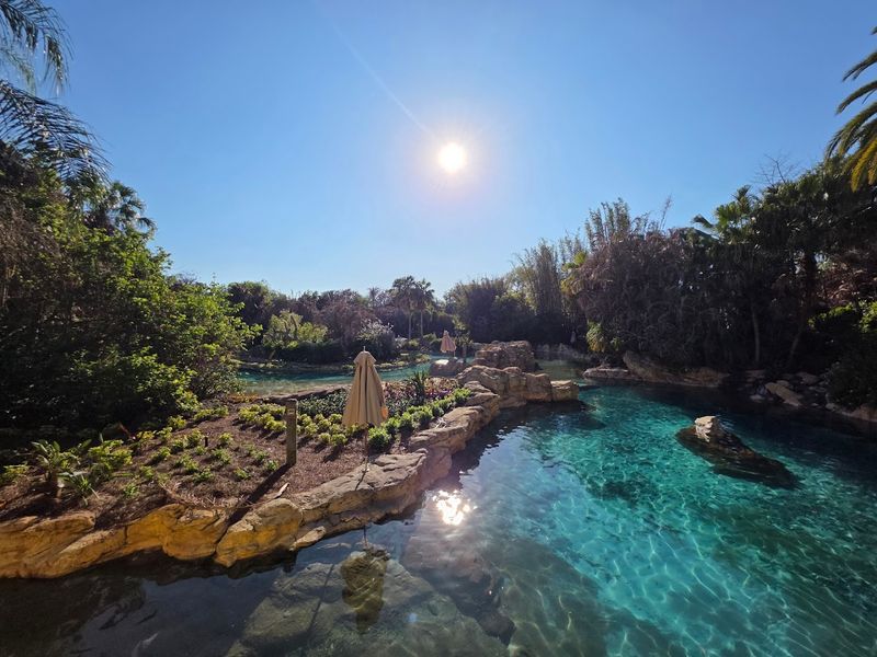 The Freshwater Oasis and Otter Habitat