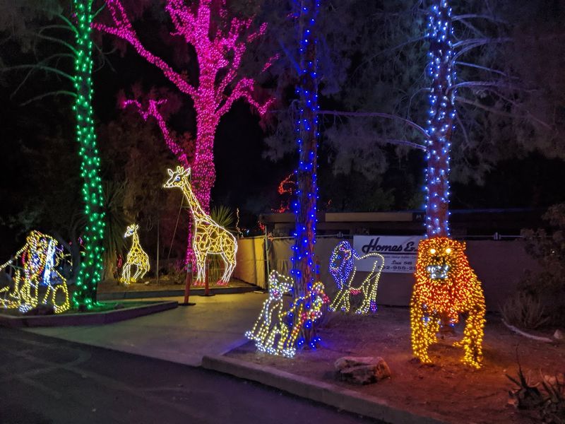 The Wild Walk Aerial Experience