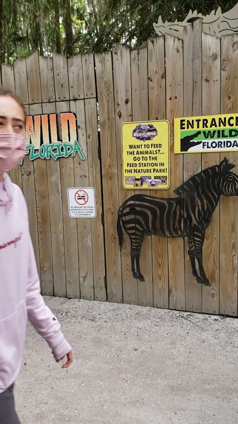 Sloth Encounter Experience