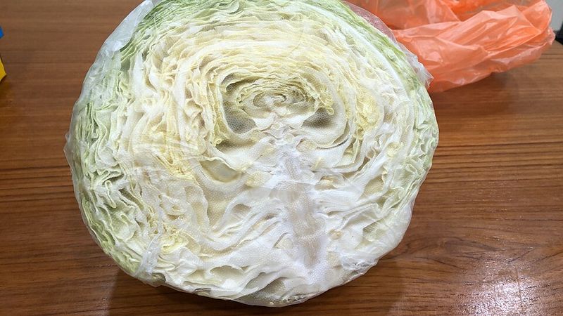 Cabbage