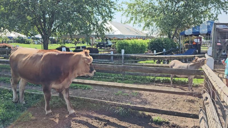 Alstede Farms - Chester, New Jersey