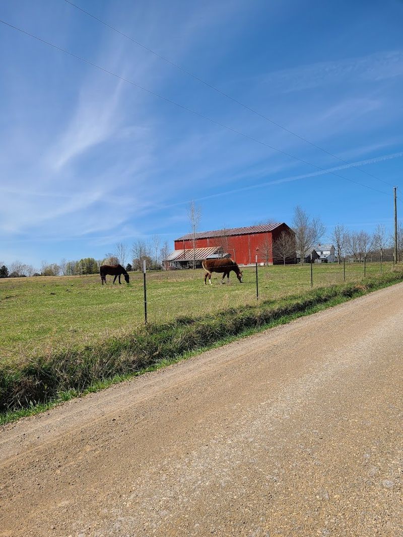 A small Amish town in Tennessee known for its delicious comfort food 5 Fresh Vegetables Grown Without Chemicals