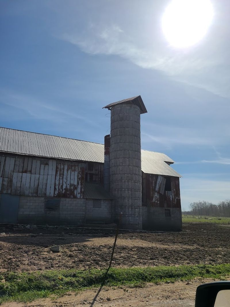 A small Amish town in Tennessee known for its delicious comfort food 12 Homemade Sorghum Syrup, a True Southern Treasure