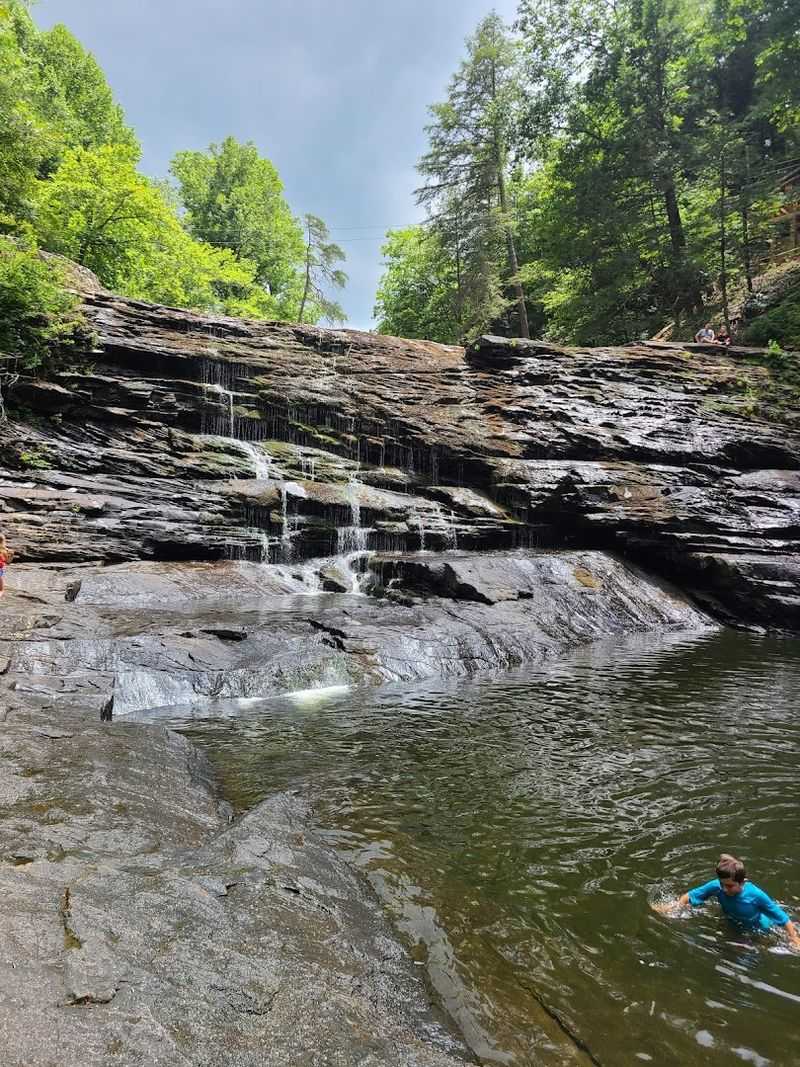 A Nature Center With Ranger-Led Educational Programs