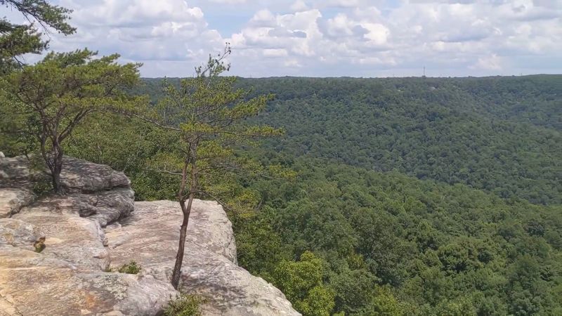 An Incredibly Short and Easy Hike