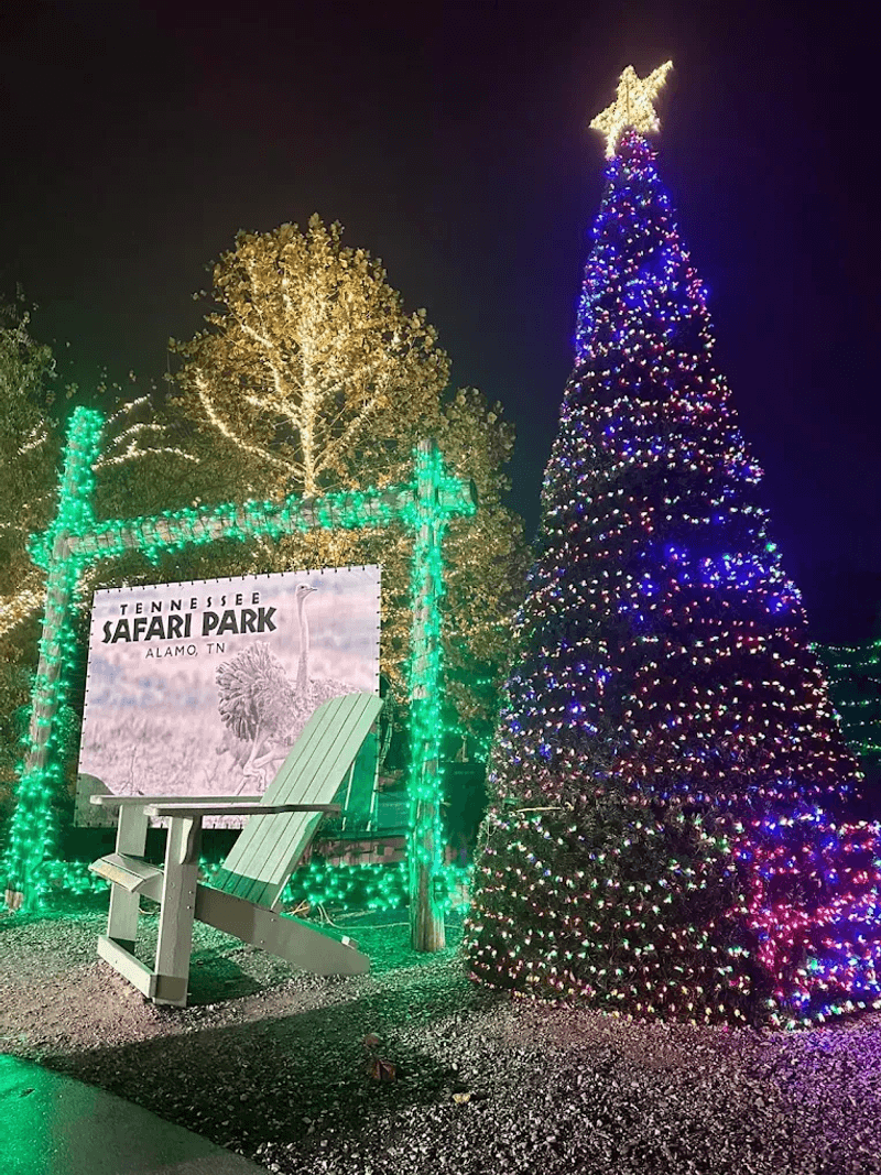 Practical Tips Before You Go