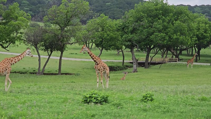 Perfect for Families With Kids of All Ages