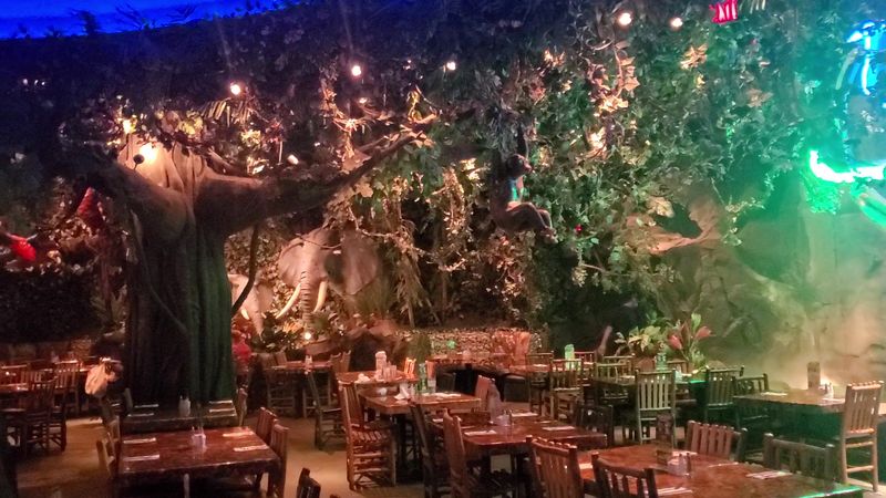 Thunderstorm Shows Every 25 Minutes