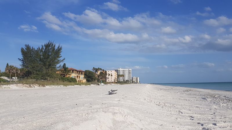 Florida Islands That Feel Far Removed From Everyday Life 13 Longboat Key - Florida