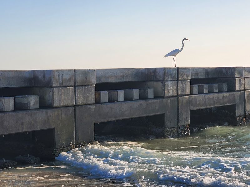 Holmes Beach - Florida