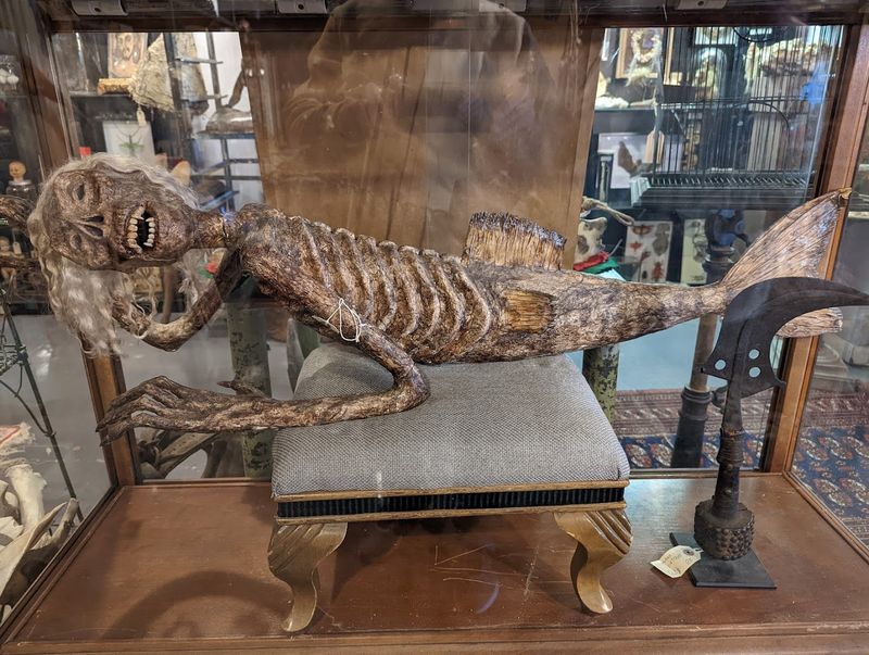 Rare Medical Antiques and Scientific Curiosities