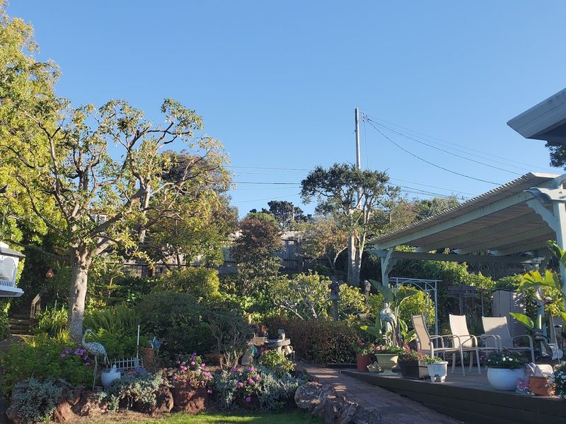 Mid-Century Modern Furniture Hunters Paradise