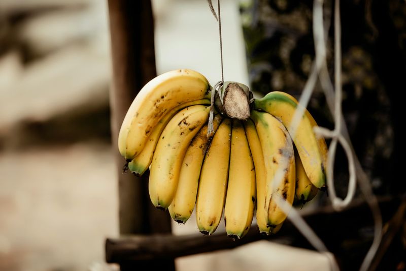 Bananas