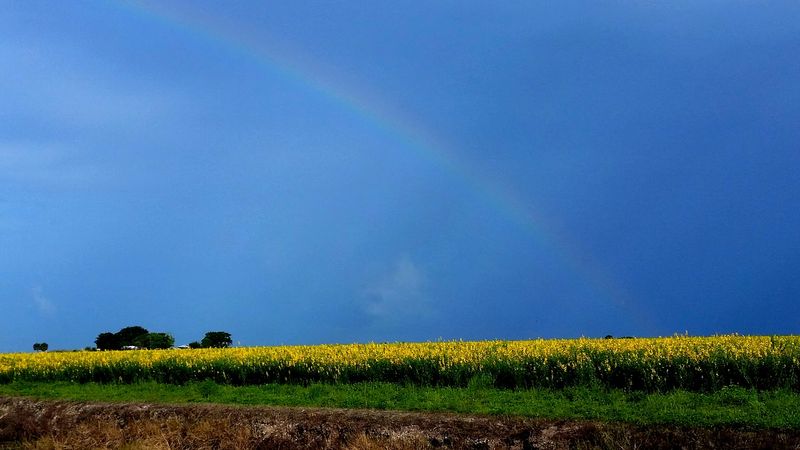 Florida Cities Where Rent Still Falls Below $900 a Month 12 Clewiston, Florida