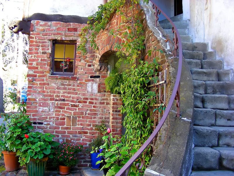 Lush Courtyards That Feel Like Secret Gardens